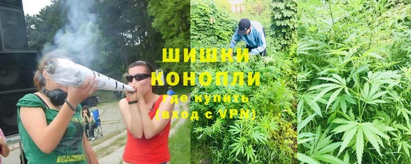 мет Алексин