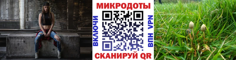 где найти   Петровск  Галлюциногенные грибы ЛСД 