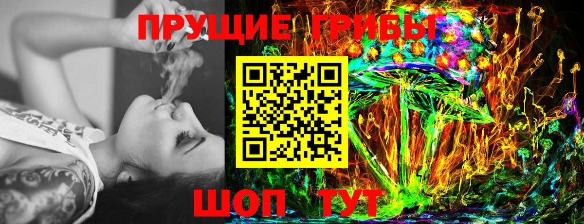 Петровск  Галлюциногенные грибы Magic Shrooms  Вход с VPN 